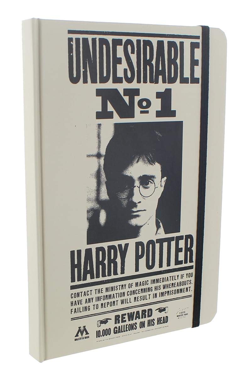Harry Potter Collectible Box Set - 2 Pack LookSee Collector's Edition | Perfect for Fans, Gifts & Home Decor | Wizarding World Merchandise for Display & Themed Parties