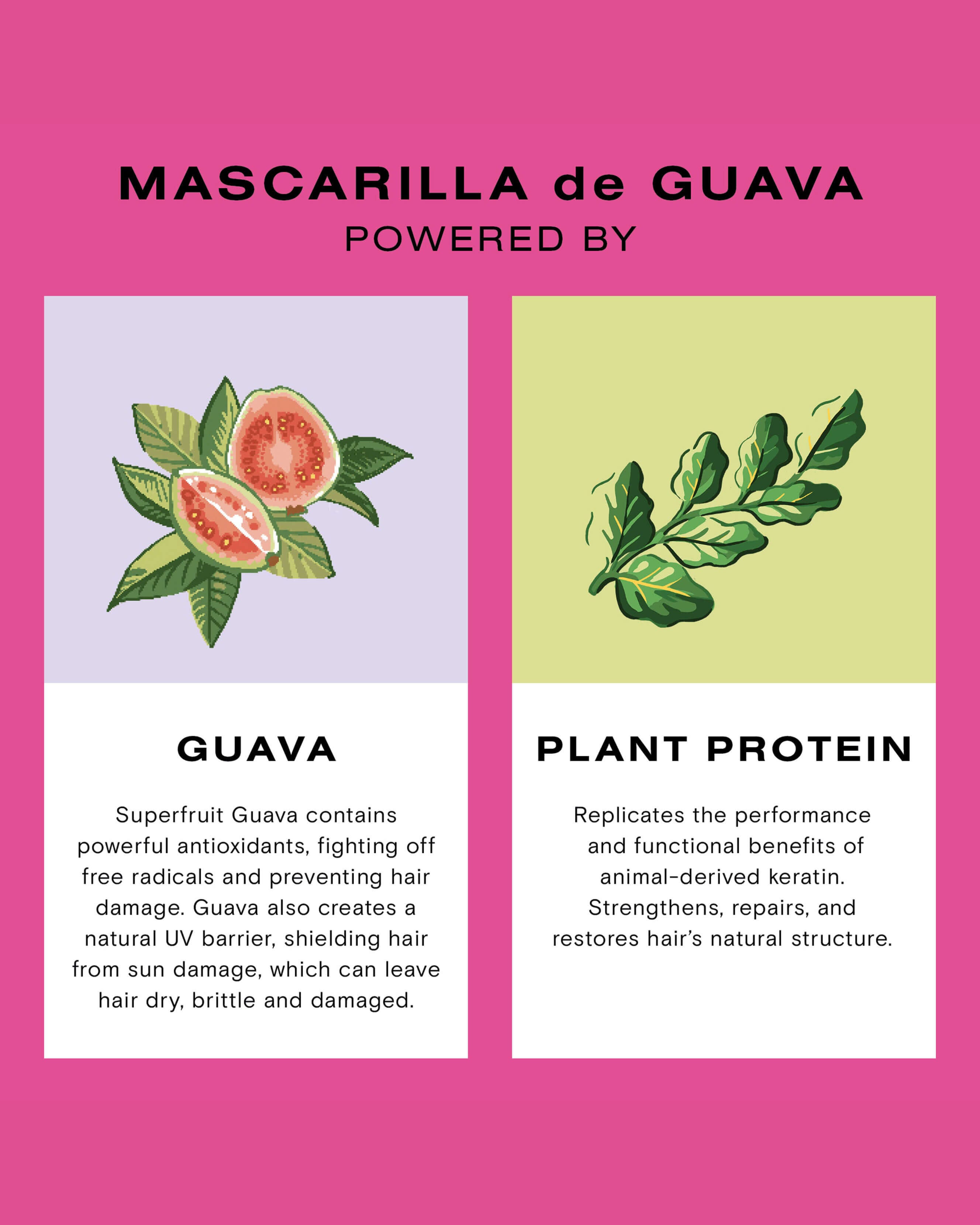 Guava Face Mask - 100% Organic Cotton, Breathable & Reusable for Daily Protection - Perfect for Gym, Travel & Outdoor Activities