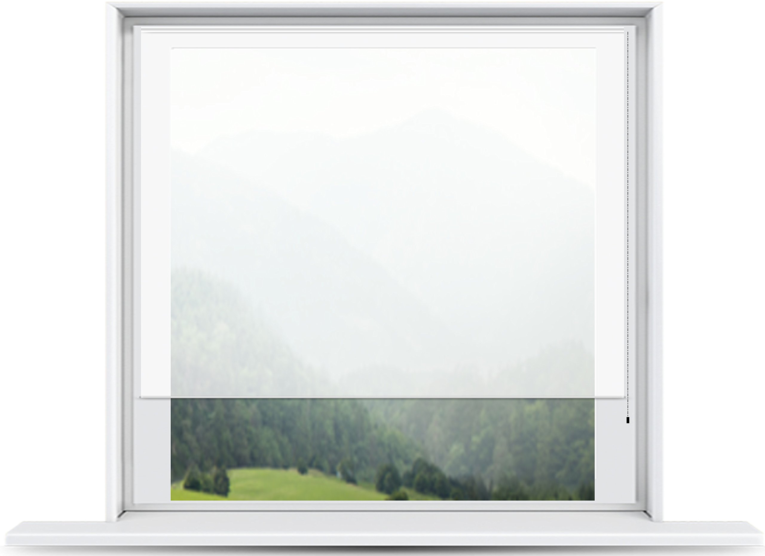 ShadePix Light Filtering Window Shade - 53