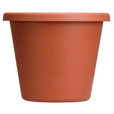 24-Pack Round Clay Plant Pots - 6