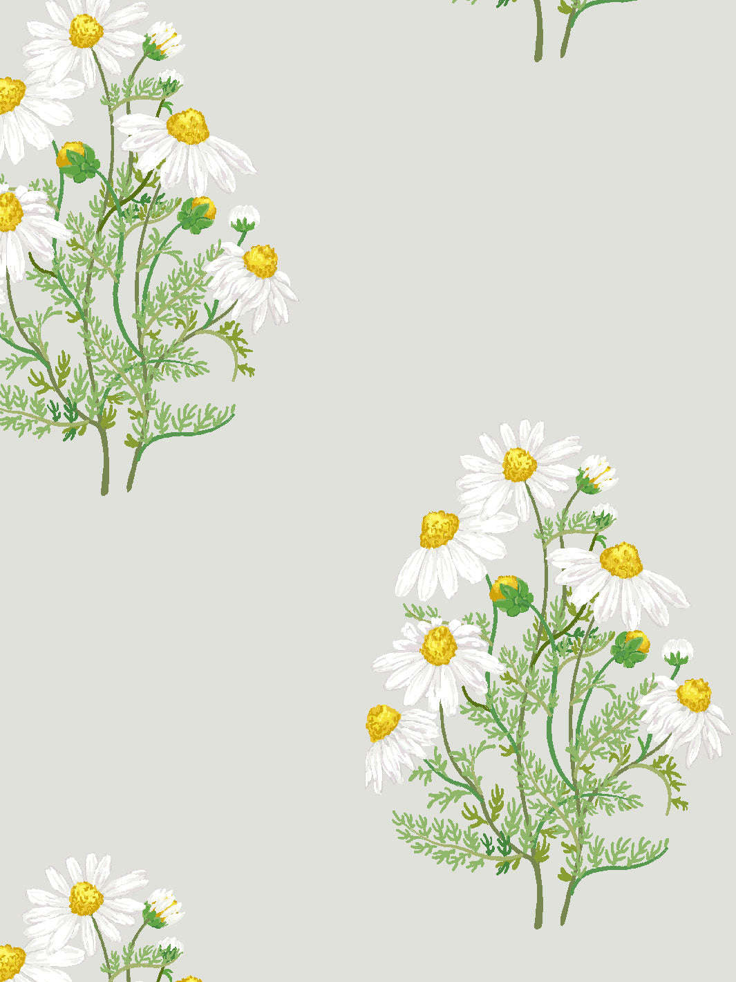 Sarah Jessica Parker 'Fleur De Camomille' Silver Wallpaper - Elegant Floral Peel & Stick Wallpaper for Living Room, Bedroom, or Nursery Decor