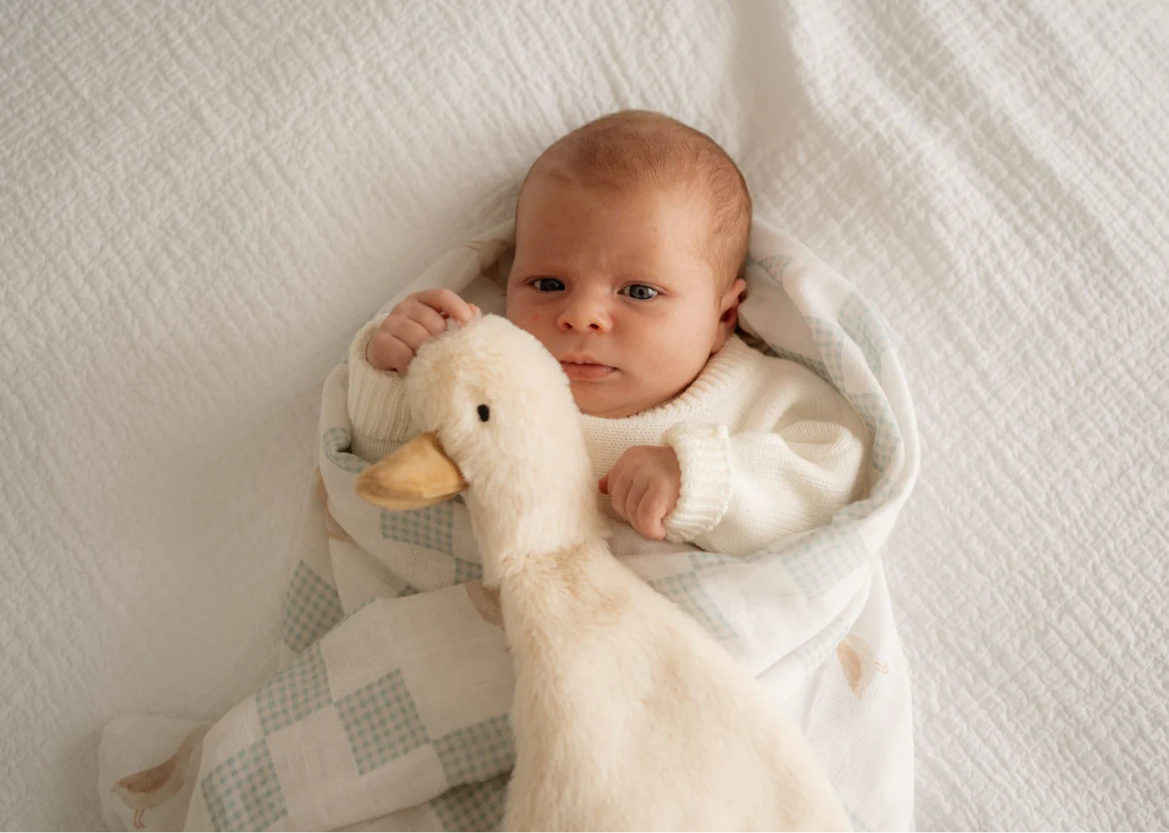 Pop Ya Tot Waddles the Goose Plush Toy - Soft & Cuddly Comfort Companion for Kids | Perfect for Bedtime, Playtime & Nursery Decor