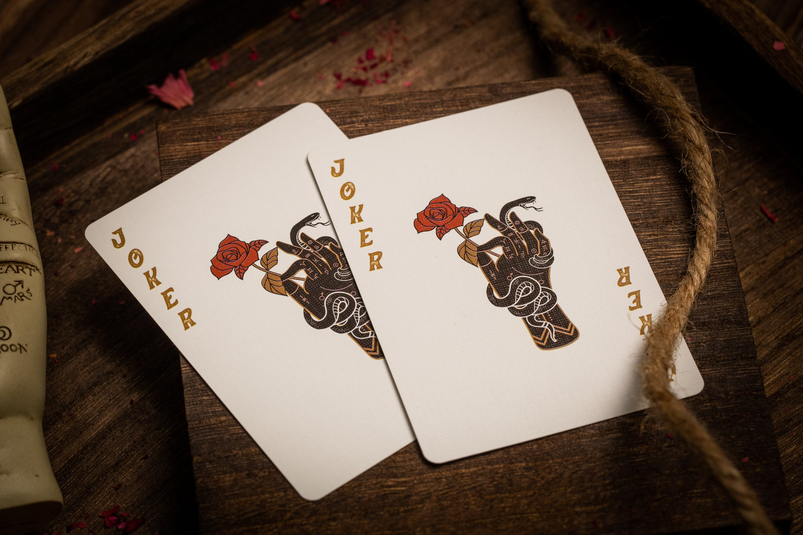 Palmistry Playing Cards - Divination & Fortune Telling Deck for Beginners & Professionals | Perfect for Tarot Readings, Psychic Practice & Party Games