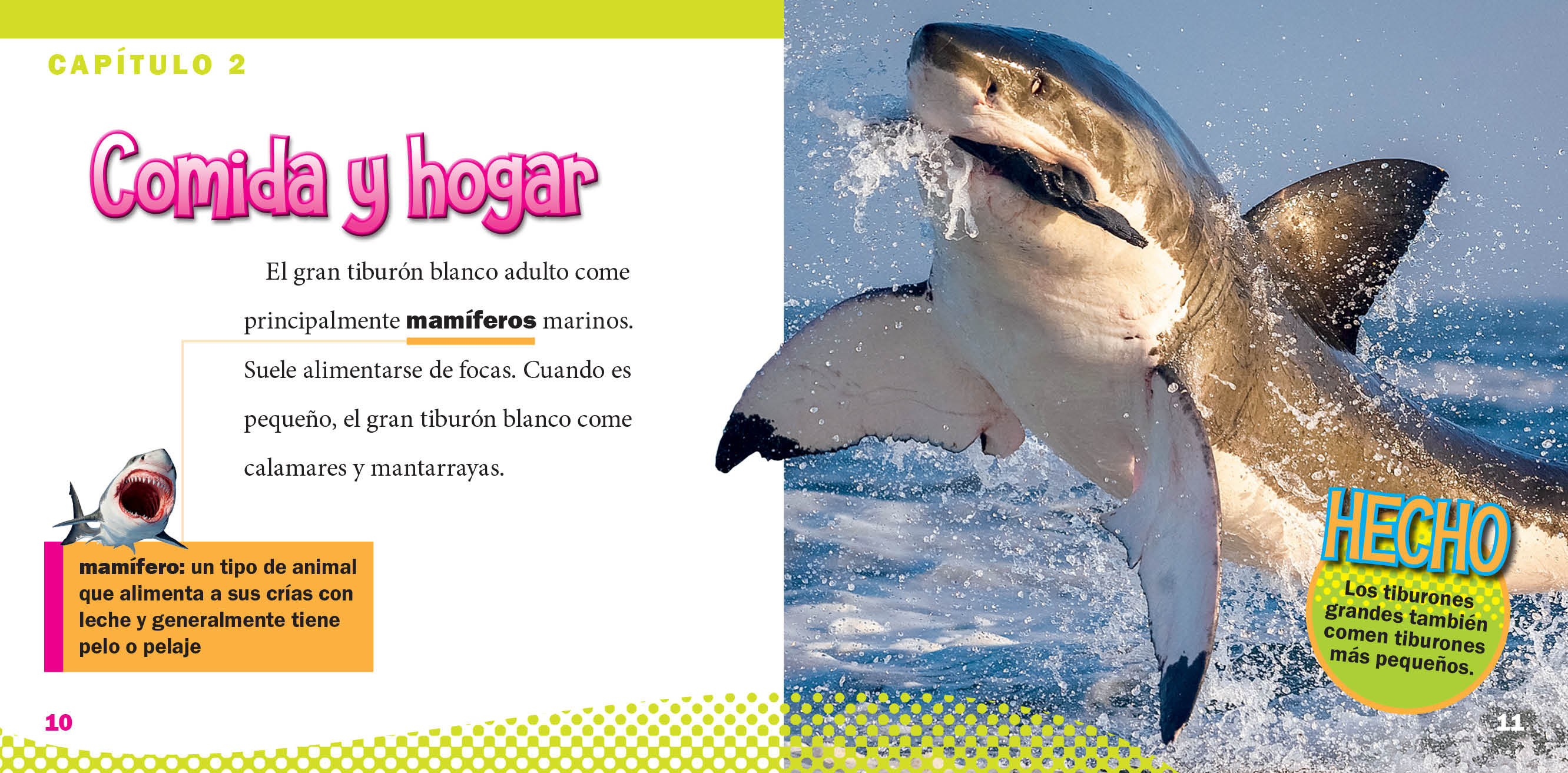 Great White Shark Toy - Realistic Detailed Figure for Kids & Collectors - Perfect for Ocean-Themed Play, Educational Learning & Home Decor