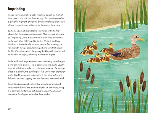 Baby Animals - A Ladybird Book | Educational Children's Book About Baby Animals | Perfect for Bedtime Stories & Early Learning