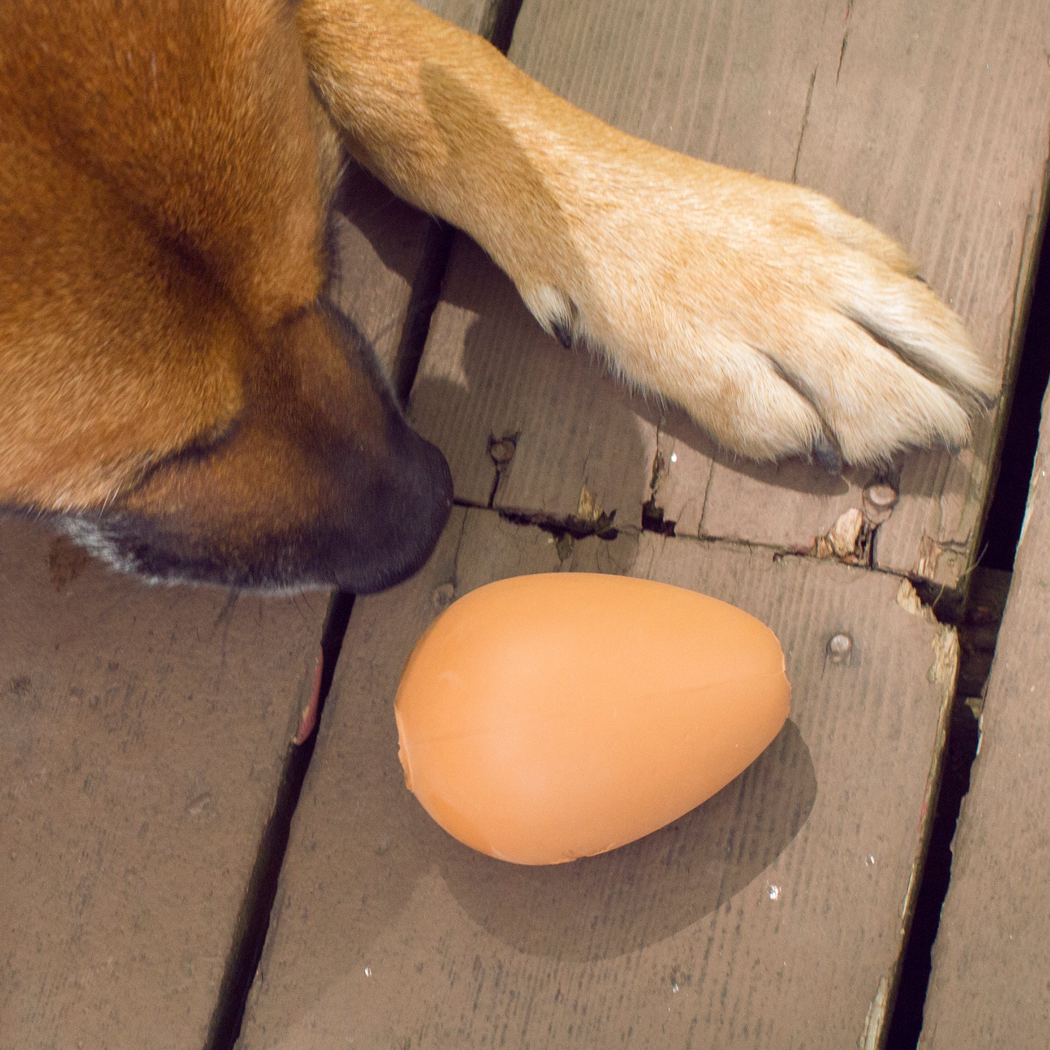 Kobe Bouncy Egg Treat Ball - Interactive Dog Toy for Small & Large Breeds - Fun Chew Toy for Training & Playtime - Perfect for Indoor & Outdoor Use