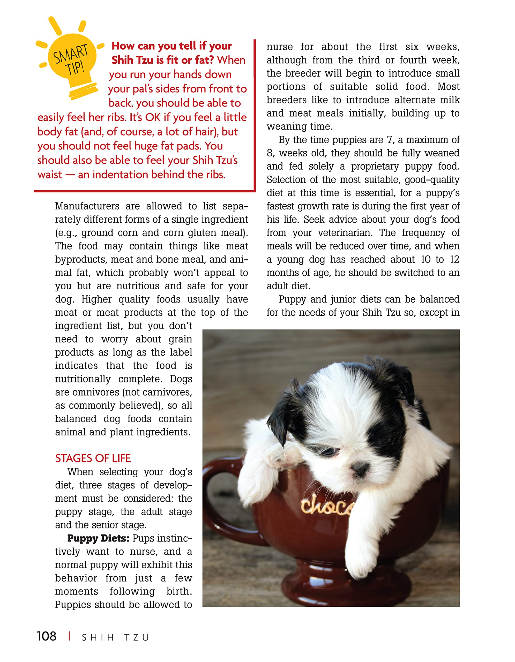 Shih Tzu Dog Breed Guide - Smart Owner's Companion Book for Training & Care | Perfect for New Pet Owners & Dog Lovers