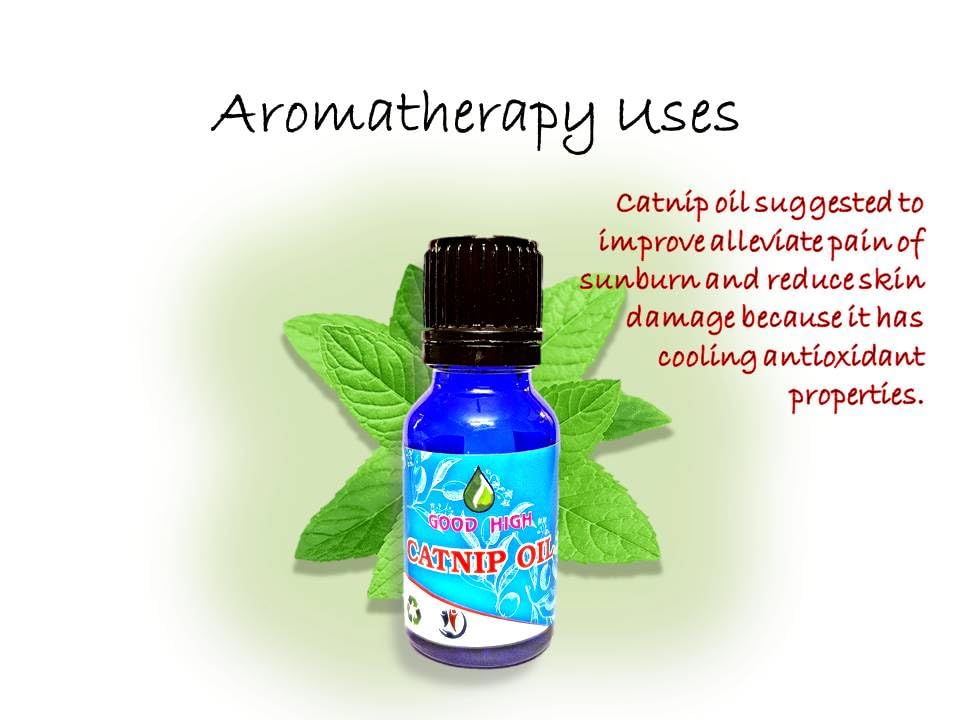 100% Pure Natural Organic Catnip Essential Oil for Cats - Undiluted Vegan Aromatherapy Oil for Pet Relaxation & Stress Relief - 10mL (0.338 oz) - Perfect for Diffusers, Massage & DIY Pet Care Products
