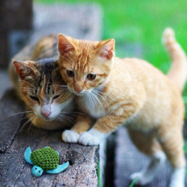 KONG Refillables Turtle Cat Toy - Durable Chew Toy for Cats, Interactive Pet Play, Slow Feeder - Perfect for Indoor Play & Mental Stimulation