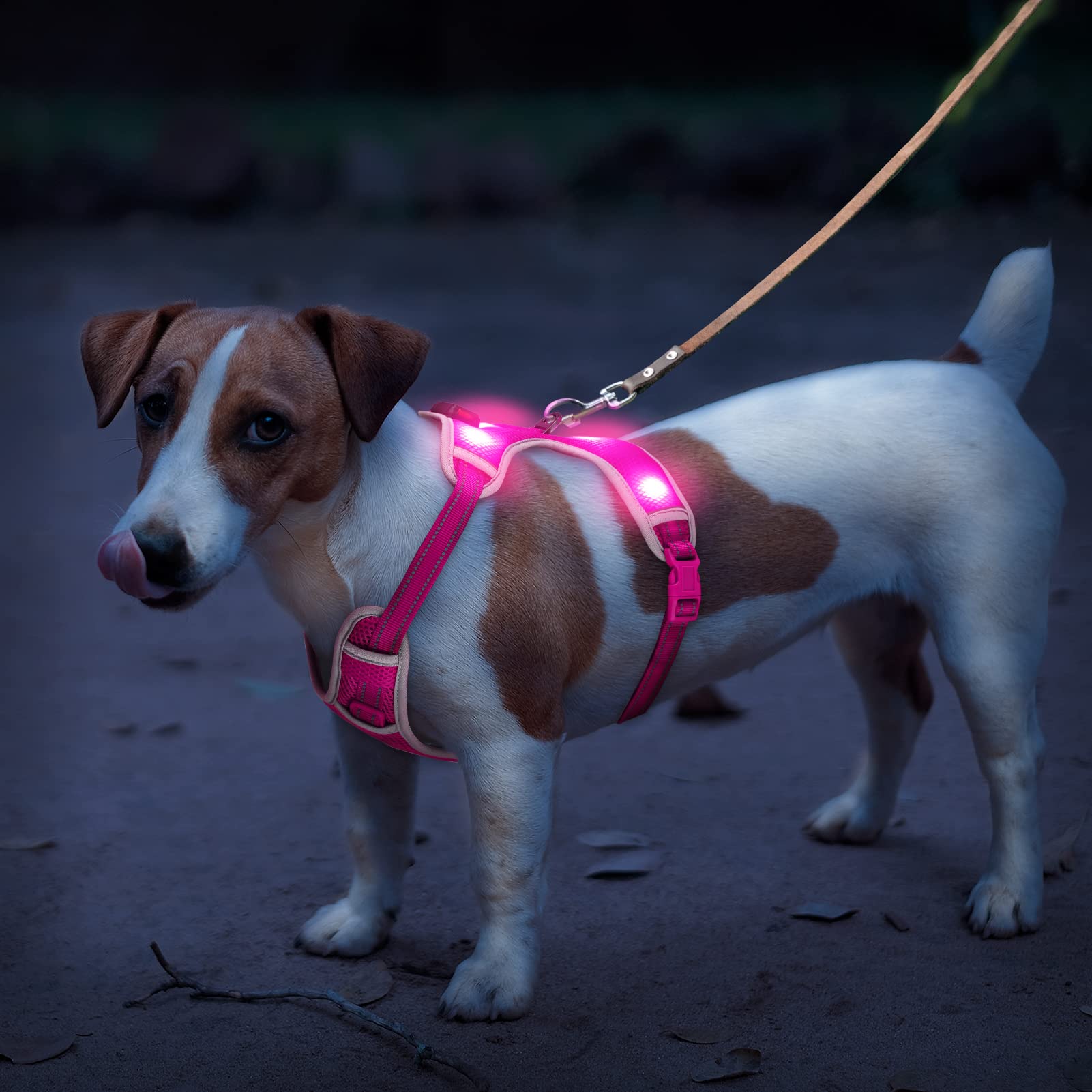 LED Dog Harness with Rechargeable Lights - Reflective Adjustable Puppy Vest for Small Dogs, Night Walking Safety Gear with Light Up Collar (Pink, Small) - Perfect for Evening Walks, Jogging & Outdoor Adventures