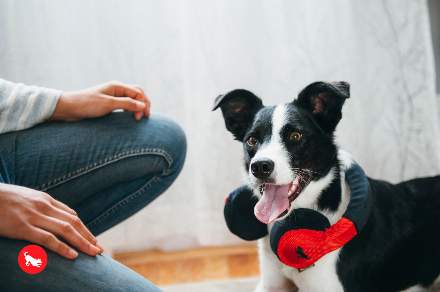 Globetrotter Plush Dog Toy with Squeaker - Soft & Durable Chew Toy for Small & Large Dogs | Perfect for Playtime, Training & Travel | Pet P.L.A.Y.