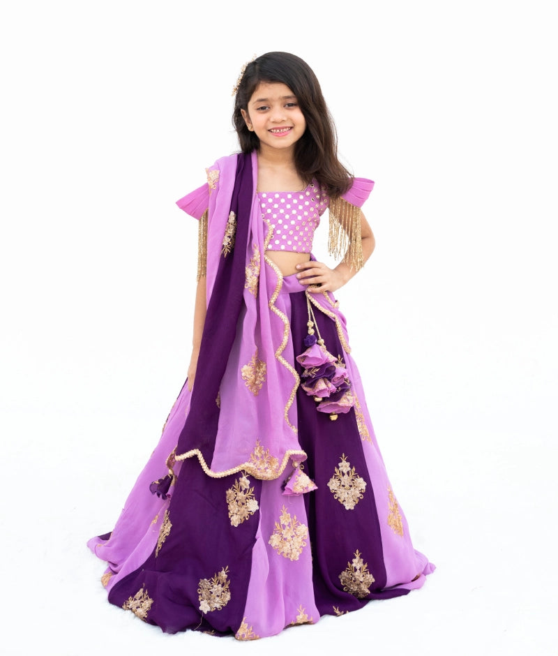 Pre Order: Lilac & Purple Embroidered Lehenga Set for Women - Indian Bridal Wear, Wedding Guest Outfit, Festive Party Dress, Diwali & Holi Celebration Costume