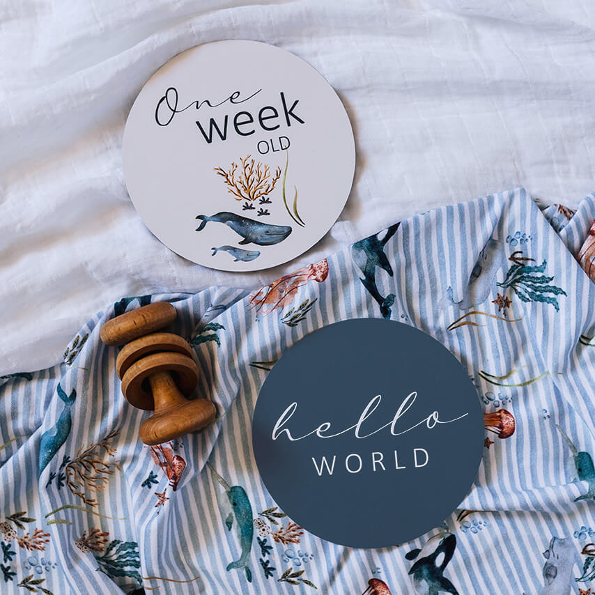 Snuggle Hunny Reversible Milestone Cards - Whale & Azure Design for Baby Photo Props, Newborn Photography, and First Year Memory Keepsakes
