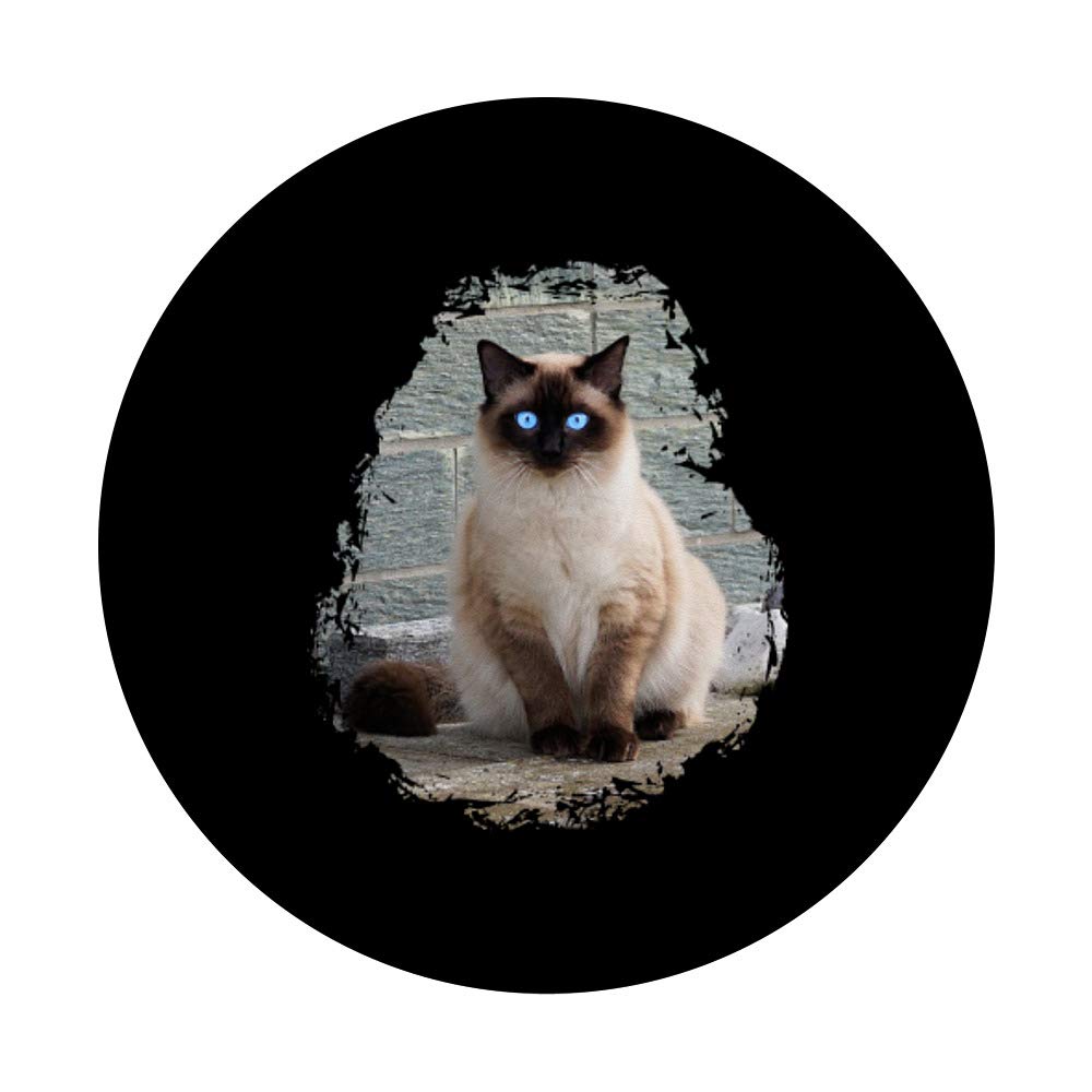 Siamese Cat PopSockets Swappable PopGrip - Cute Phone Grip Stand for iPhone & Android - Perfect for Cat Lovers, Phone Drops Protection, Selfie Stick & Car Mount Use