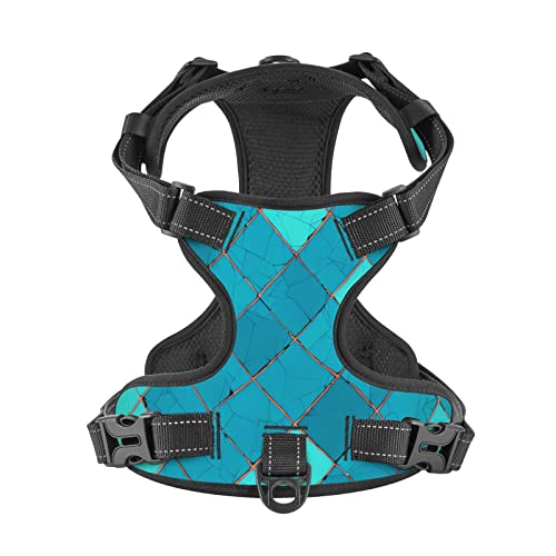 Turquoise Blue