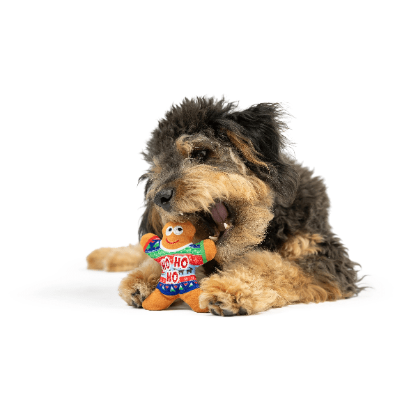 Premium Huxley & Kent Tiny Tuff Ugly Sweater Dog Toy - Durable Chew Toy for Small & Medium Dogs - Perfect for Christmas Parties, Pet Birthdays & Playtime