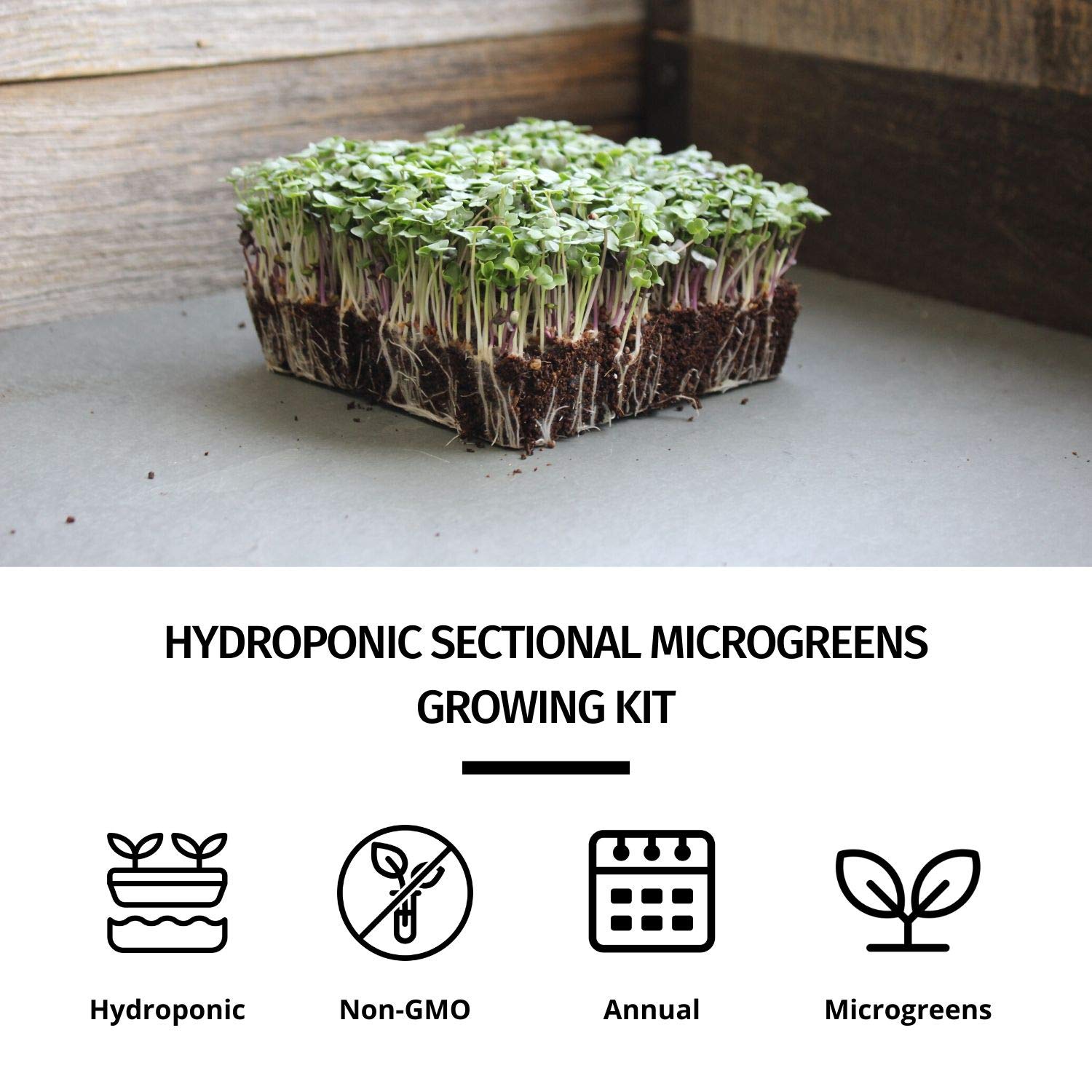 Hydroponic Microgreens Growing Kit - Complete Indoor Gardening System with Seeds, Trays & Instructions - Grow Fresh Greens & Herbs Year Round - Perfect for Home Chefs, Healthy Eating & Urban Farming