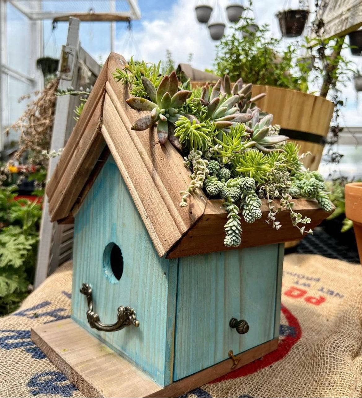 Eco-Friendly Blue Amber Plantable Birdhouses for Garden & Outdoor Decor - Attract Birds & Grow Wildflowers