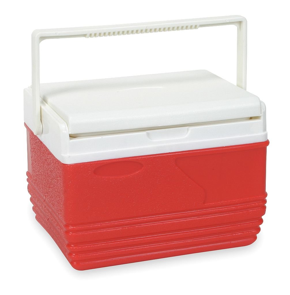 Portable Personal Cooler - 4.75 Quart (Red) for Picnics, Camping & Outdoor Activities | Compact Mini Fridge for Drinks & Snacks | USB Powered Cooler Box