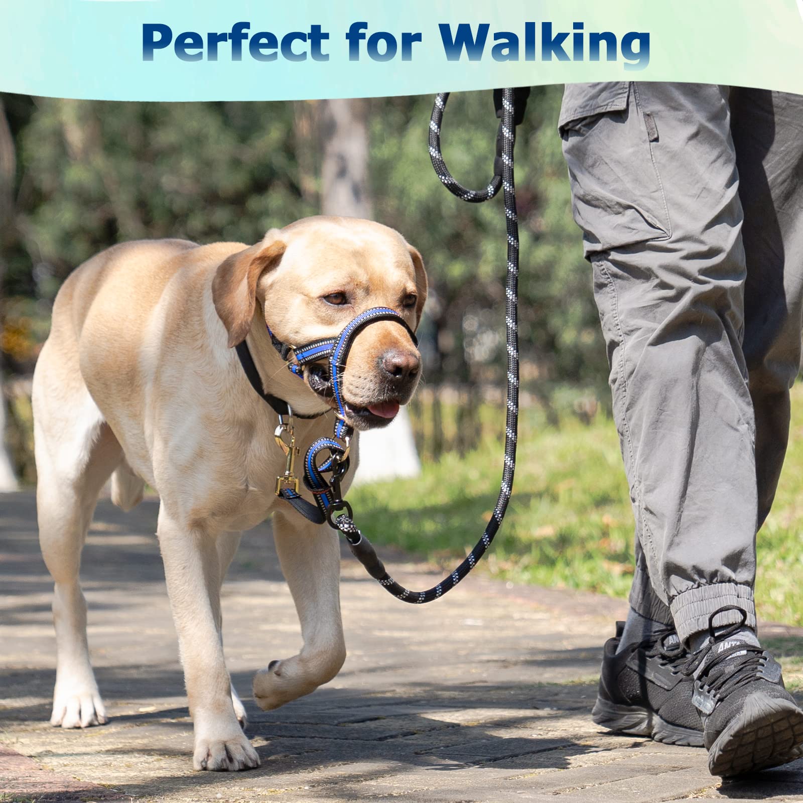 BARKLESS No Pull Dog Muzzle Leash - Adjustable Head Halter for Medium & Large Aggressive Dogs - Gentle Face Harness Stops Pulling & Choking - Stylish Blue Head Collar (Size M) - Perfect for Walking, Training & Controlling Strong Pullers Safely