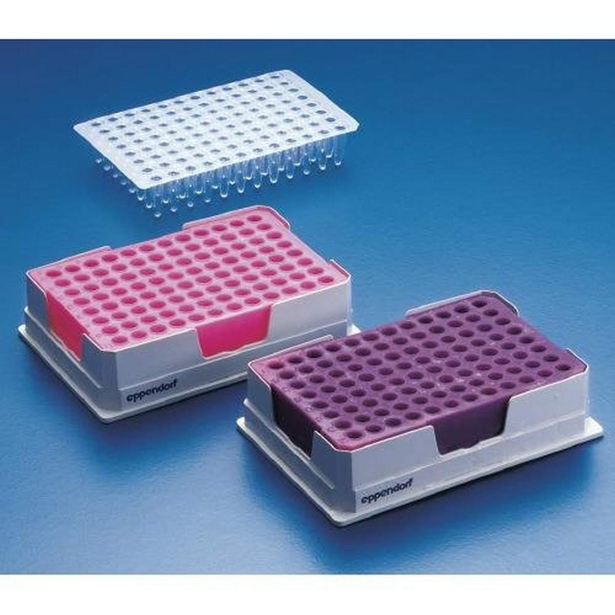 Eppendorf 022510525 Blue Polycarbonate PCR Cooler - Iceless Cold Pack for 96 Well PCR Plates, Strips & Tubes | Lab Equipment for DNA/RNA Sample Storage & Transport