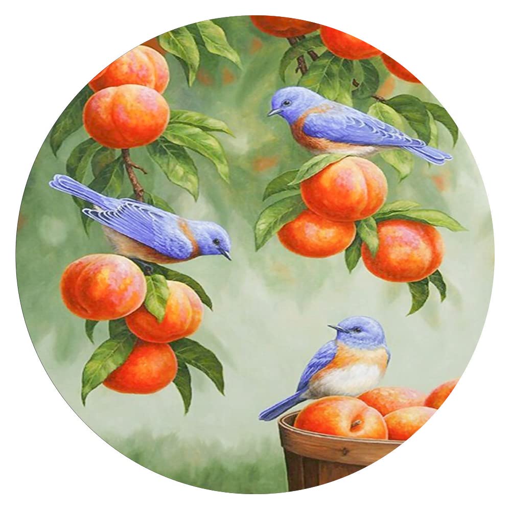 300 Piece Animal & Birds Wall Art Puzzle - Round Wooden Jigsaw for Adults & Kids, Stress Relief & Educational Toy, Perfect for Family Game Night & Home Decor