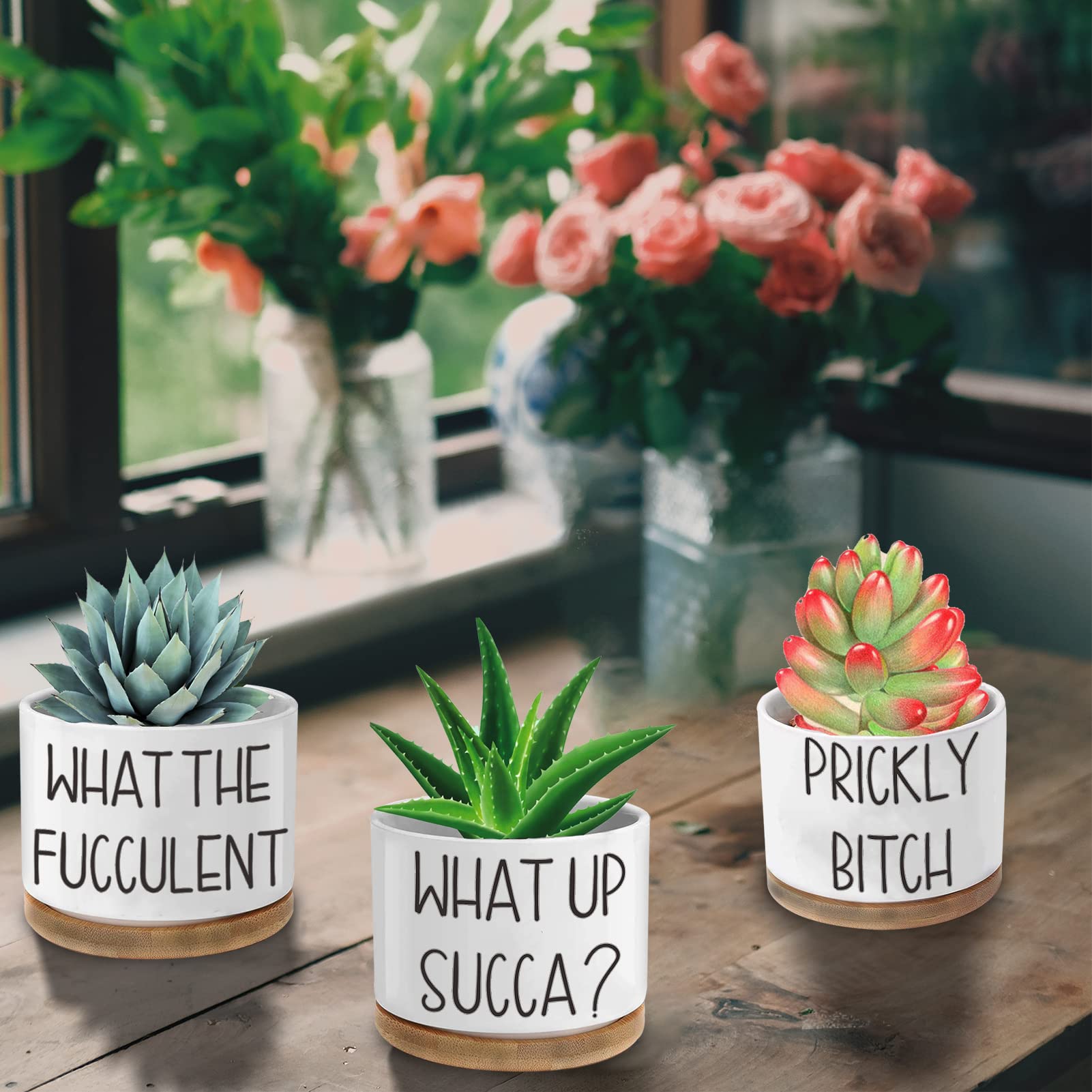 3.15 Inch Ceramic Succulent Pots with Drainage Holes & Saucers - Pack of 3 Small Plant Pots with Funny Plant Labels - Unique Gardening Gifts for Women Birthday, Mother's Day, Housewarming - Perfect for Indoor Plants, Office Desk Decor, and Home Gardening