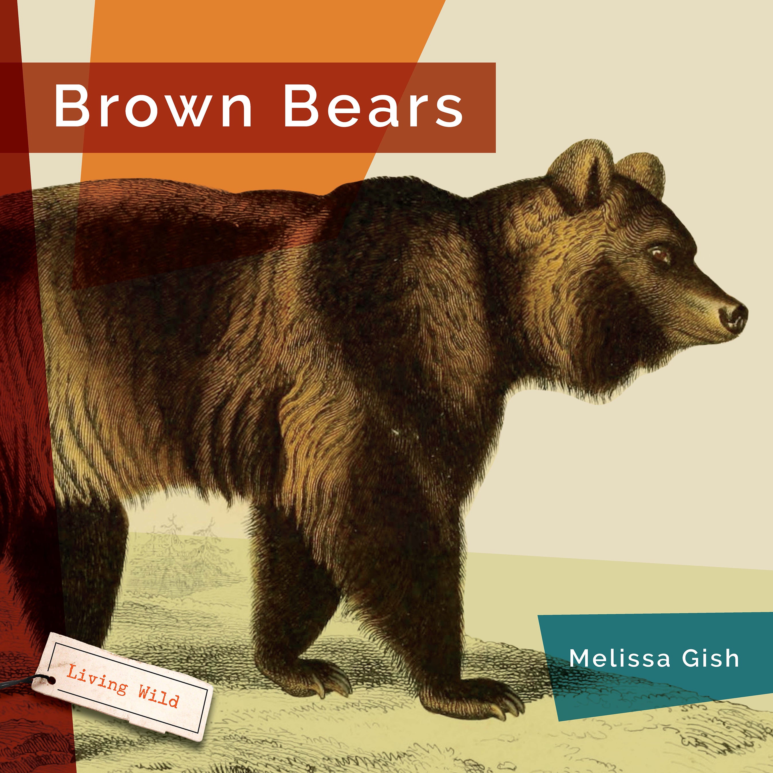 Brown Bears Book 9781640267756 - Wildlife Nature Guide for Kids & Adults - Perfect for Education, Gifts & Home Library