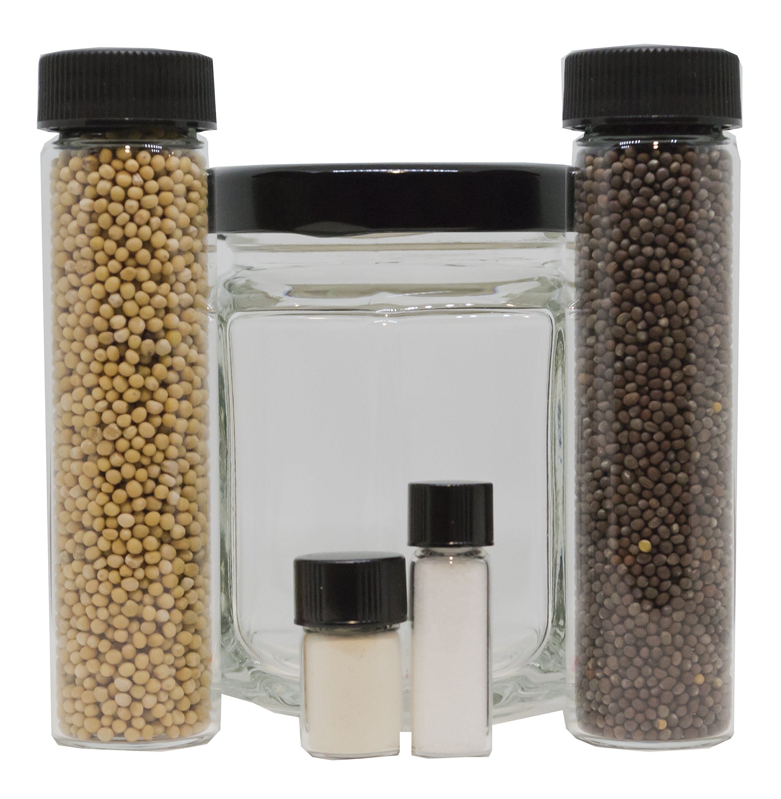 DIY Beer Mustard Making Kit by Crimson and Clove - Homemade Spicy Mustard Craft Set for Cooking, Sandwiches & BBQ - Perfect for Home Brewers & Food Lovers