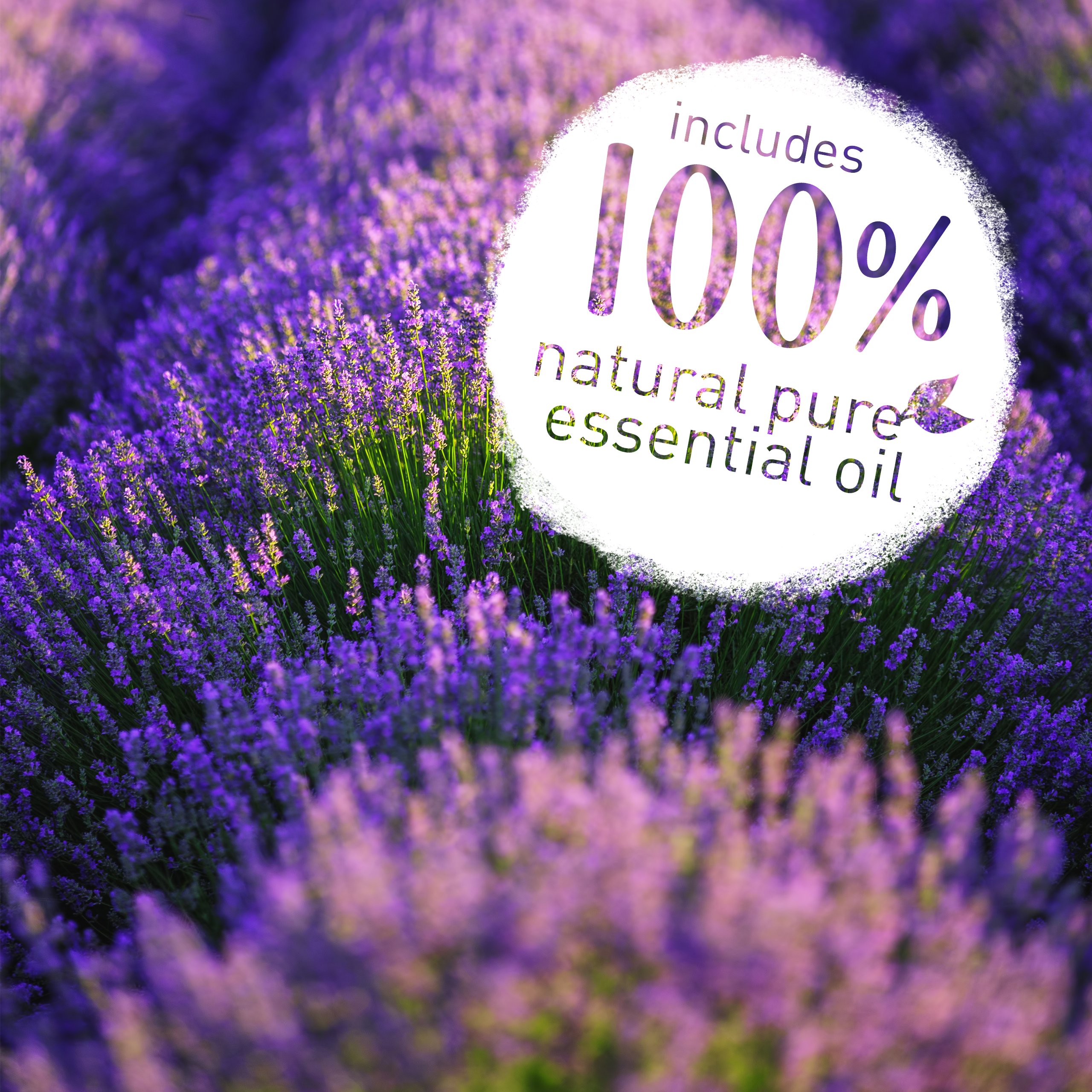 Lavodia Lavender Mist Pillow Spray - 100% Pure Natural Lavender Essential Oil for Stress Relief & Better Sleep | Relaxing Aromatherapy for Bedtime, Meditation & Yoga