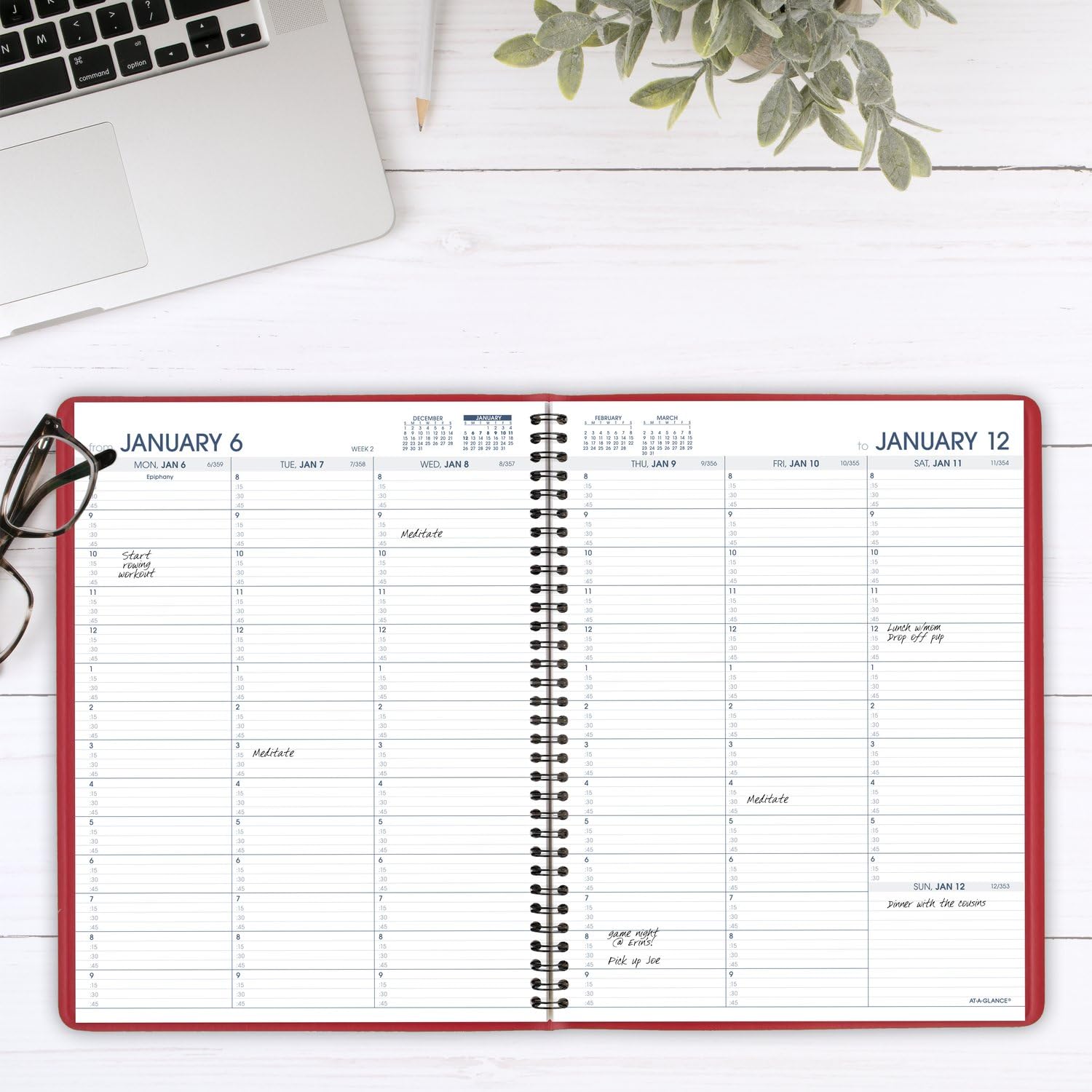 AT-A-GLANCE 2025 Weekly Appointment Book Planner - 8.25