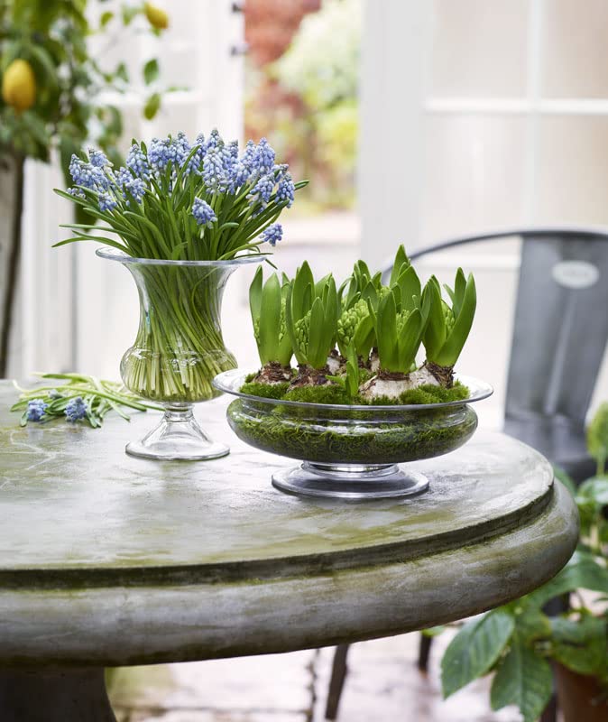 Elegant Transparent Glass Vase 17.4x17.8x20.3cm - Perfect for Home Decor, Wedding Centerpieces & Floral Arrangements