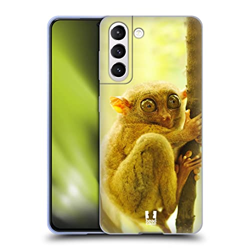 Tarsier Monkey