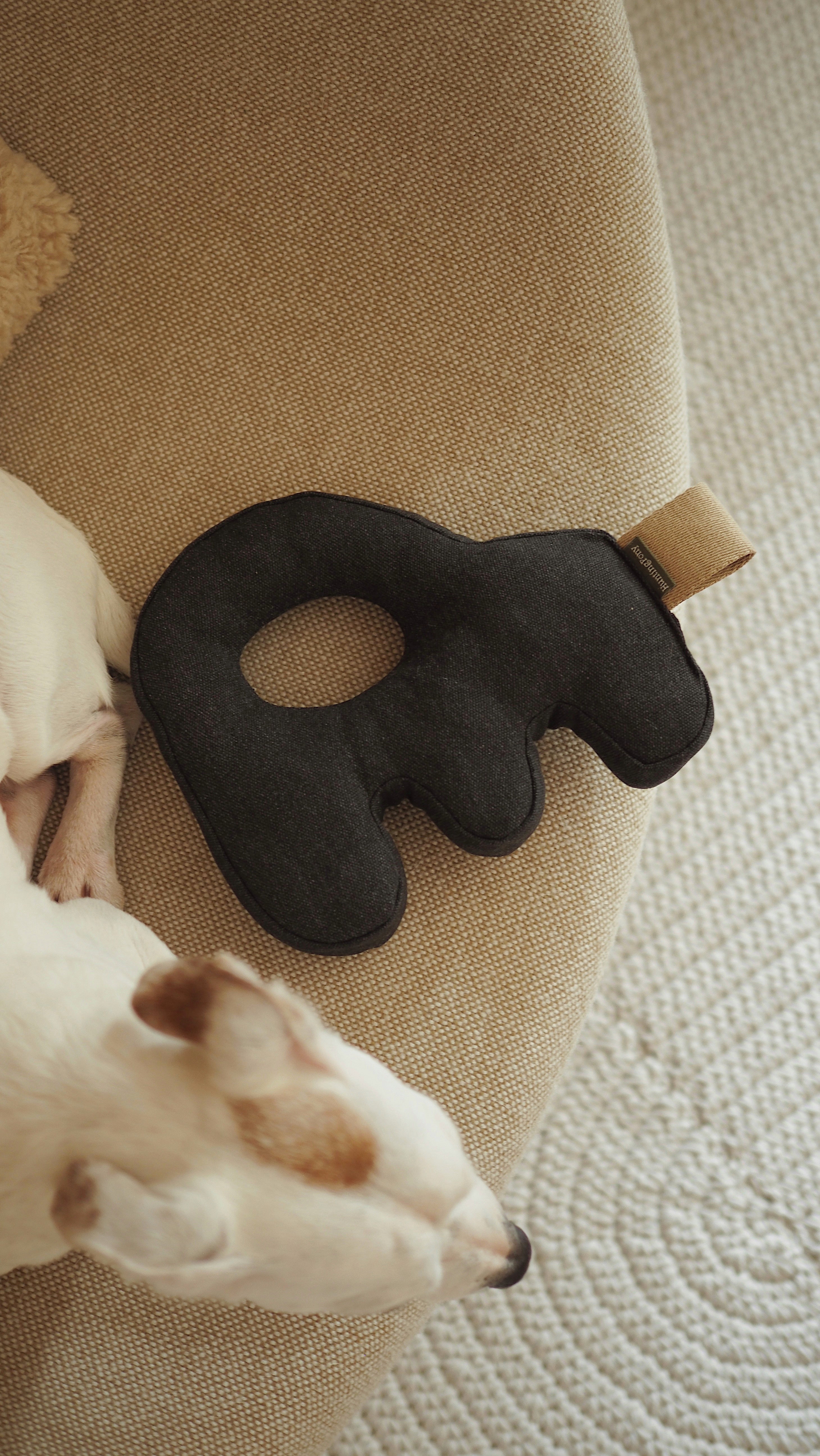 Durable Dog Toys for Chewing & Fetch - Interactive Pet Toys for Small & Large Dogs - Best for Indoor & Outdoor Play
