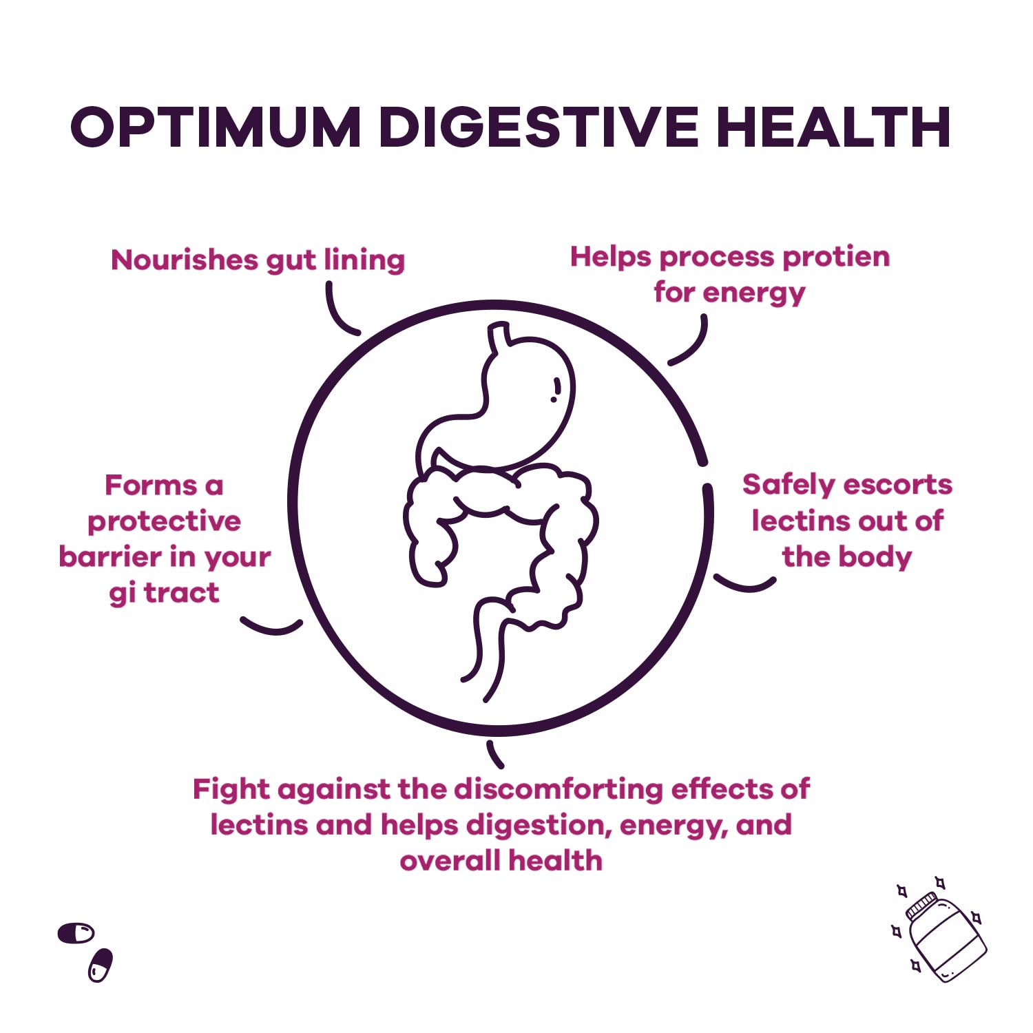 GobiOtiX Lectin Defense Supplement - MSM & Digestive Enzymes for Gut Health - Supports Intestinal Wellness for Men & Women - Non-GMO, Gluten Free Lectin Blocker - 60 Capsules - Perfect for Digestive Support & Lectin-Rich Diet Management