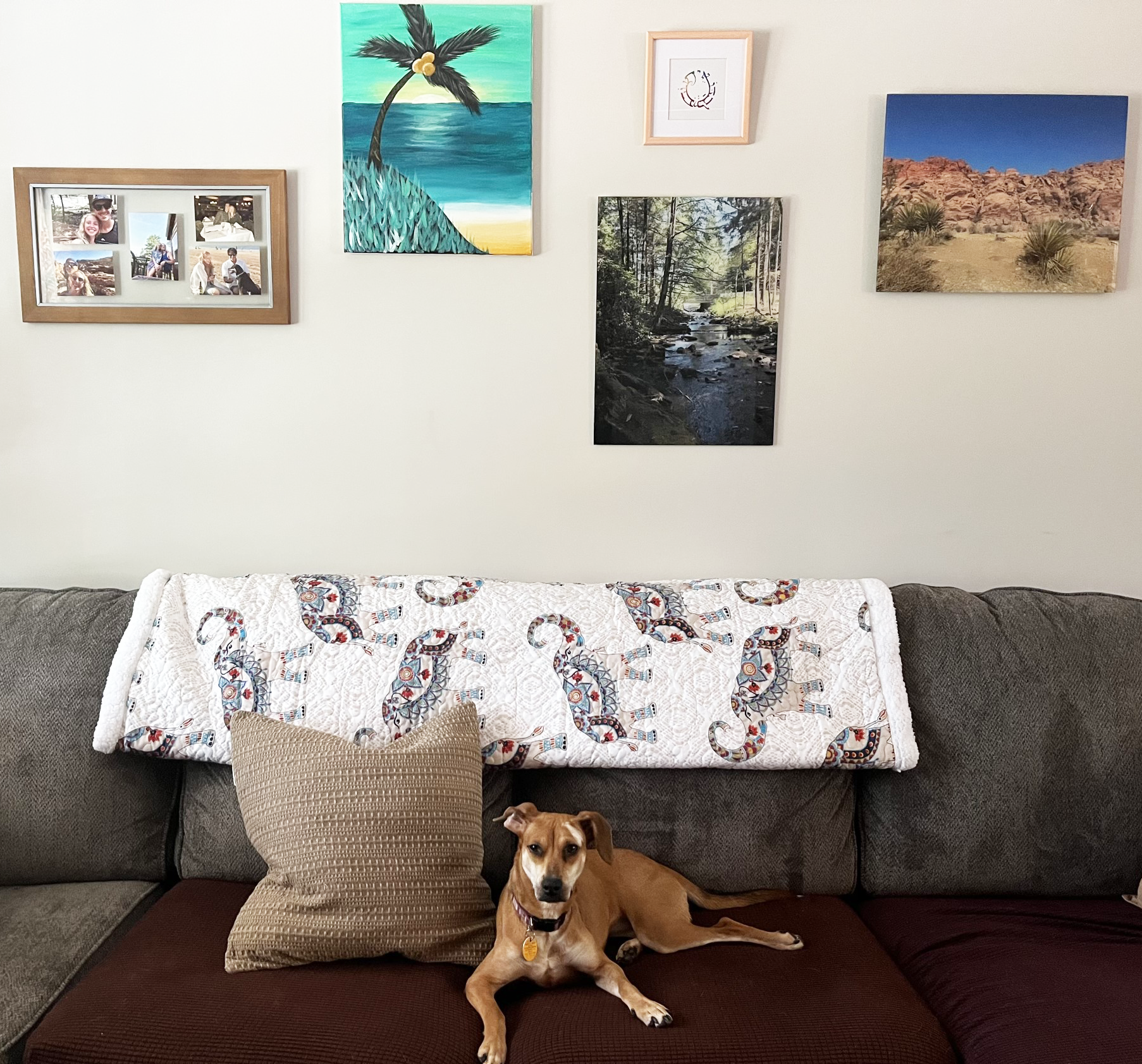 Hati Elephants Sherpa Blanket - Soft & Cozy Flannel Throw for Couch, Bed, and Travel - Perfect for Home Decor, Gifts, and Winter Warmth