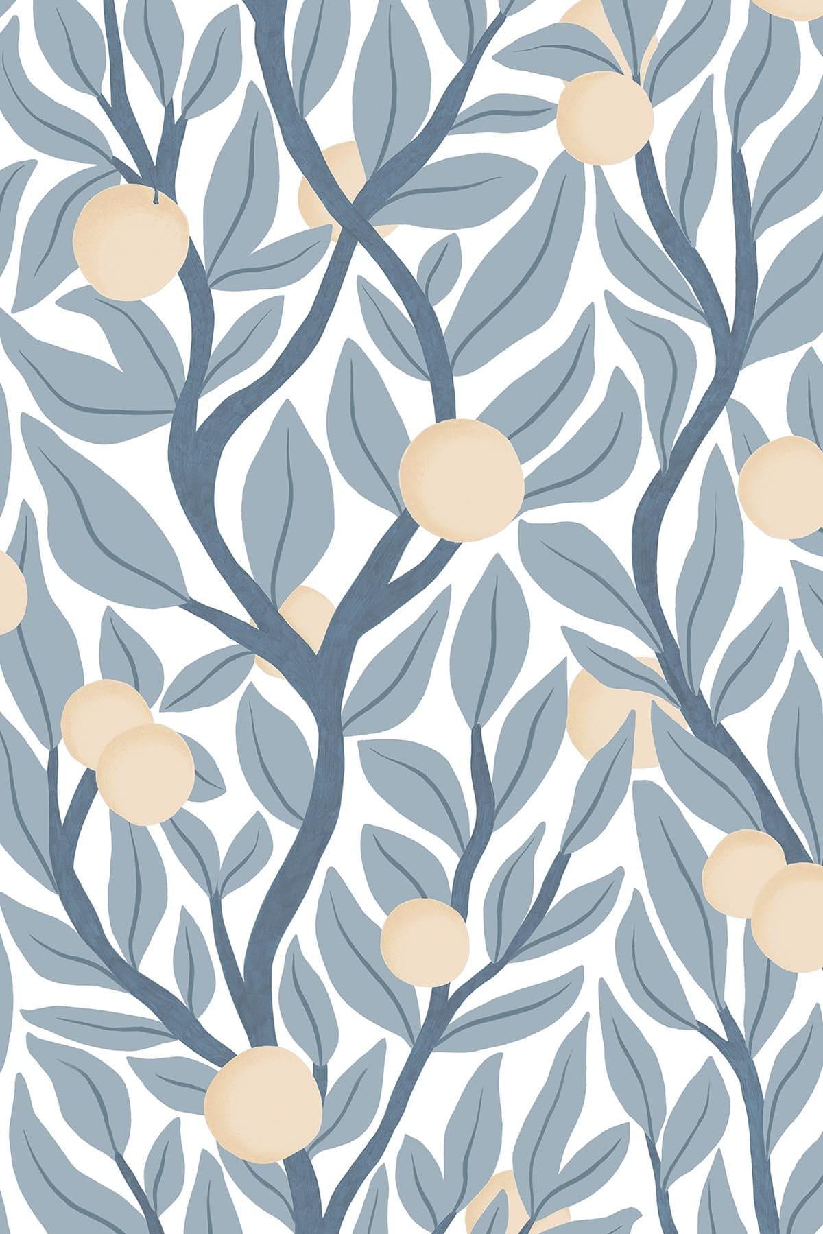 Dusty Blue Citrus Tree - Perfect for Home Garden, Patio Decor & Indoor Plant Lovers