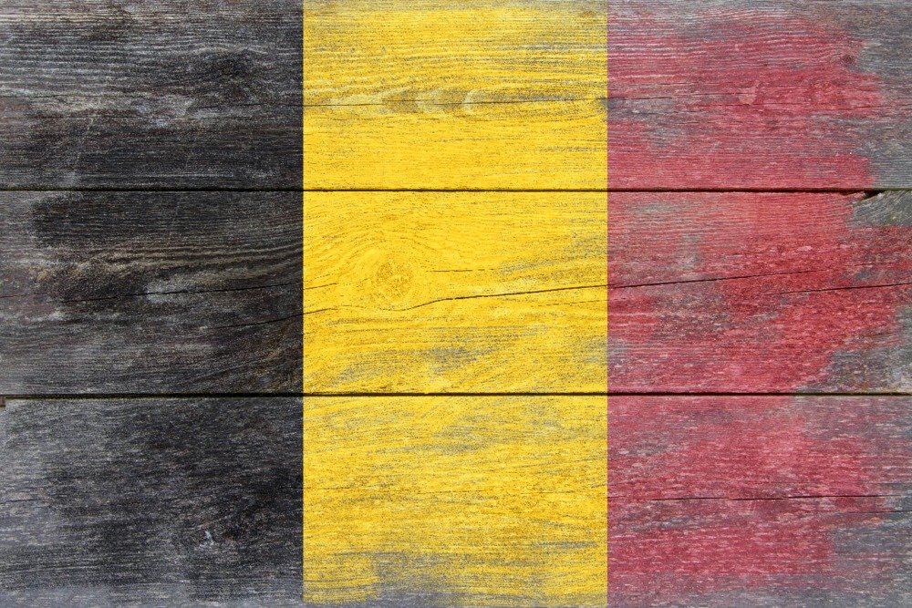 Lantern Press Rustic Belgium Country Flag Wall Art Poster - 12x18 Inches, Vintage European Decor for Home, Office & Bar - Perfect for Living Room, Bedroom & Man Cave Decorations