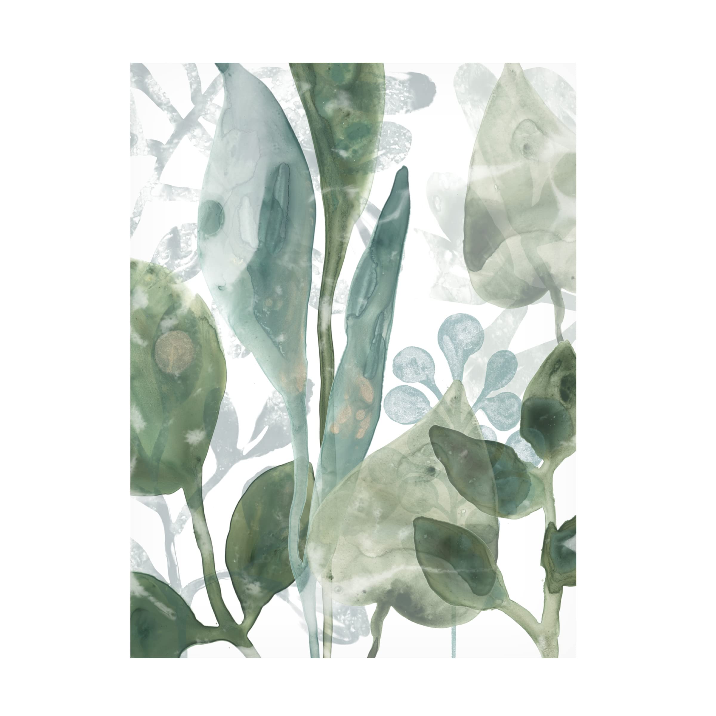 Trademark Fine Art 'Aquatic Leaves III' Canvas Wall Art by June Erica Vess - Modern Botanical Painting for Living Room, Bedroom & Office Decor