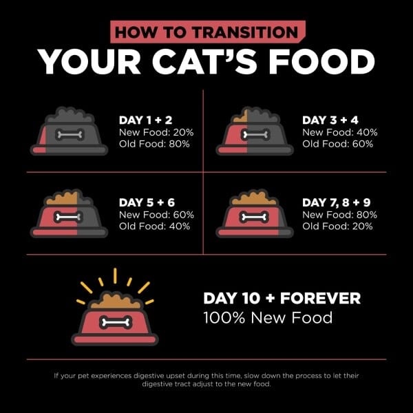 Go! Solutions Sensitivities Limited Ingredient Grain Free Salmon Recipe Dry Cat Food for Sensitive Stomachs - 6lb Bag - Hypoallergenic Cat Food for Indoor & Outdoor Cats with Allergies