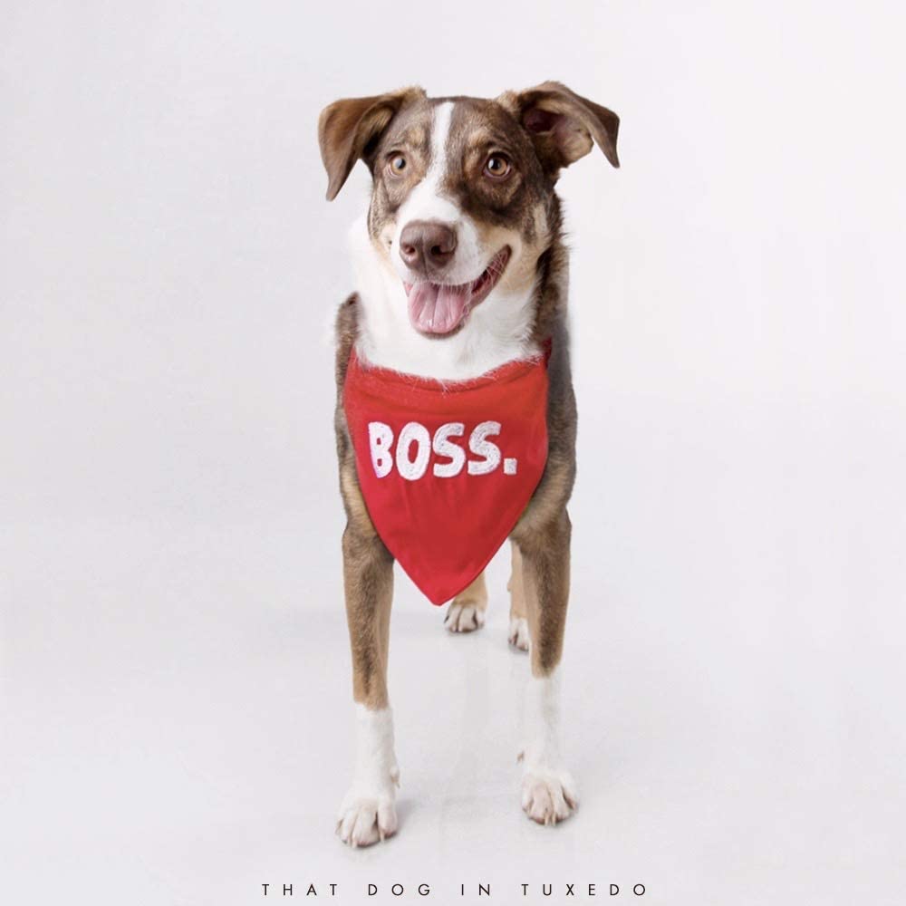 BOSS Dog Bandana & Scarf with Adjustable Collar - Tuxedo Style Pet Accessory for Large Dogs (Red, XL) - Perfect for Weddings, Parties & Special Occasions