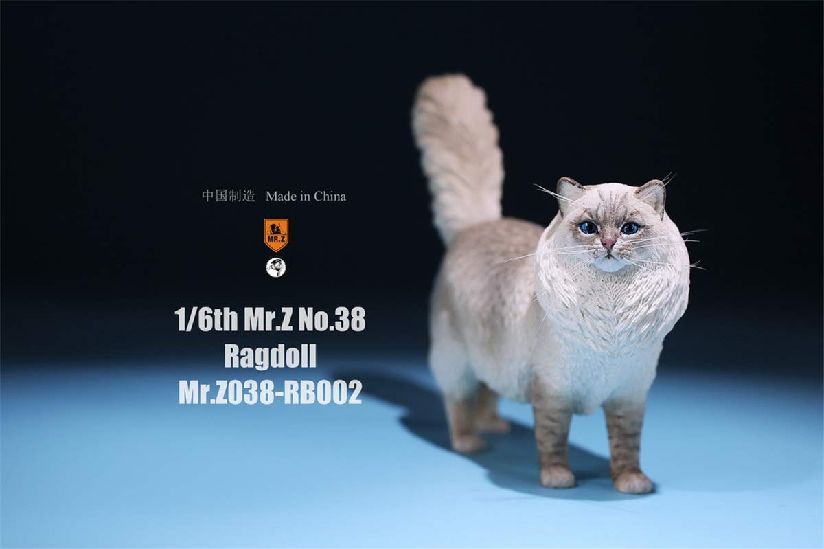1:6 Scale Realistic Ragdoll Cat Pet Figure - Lifelike Felidae Animal Model for Home Decor, Collectors & Dollhouse Miniature Scenes
