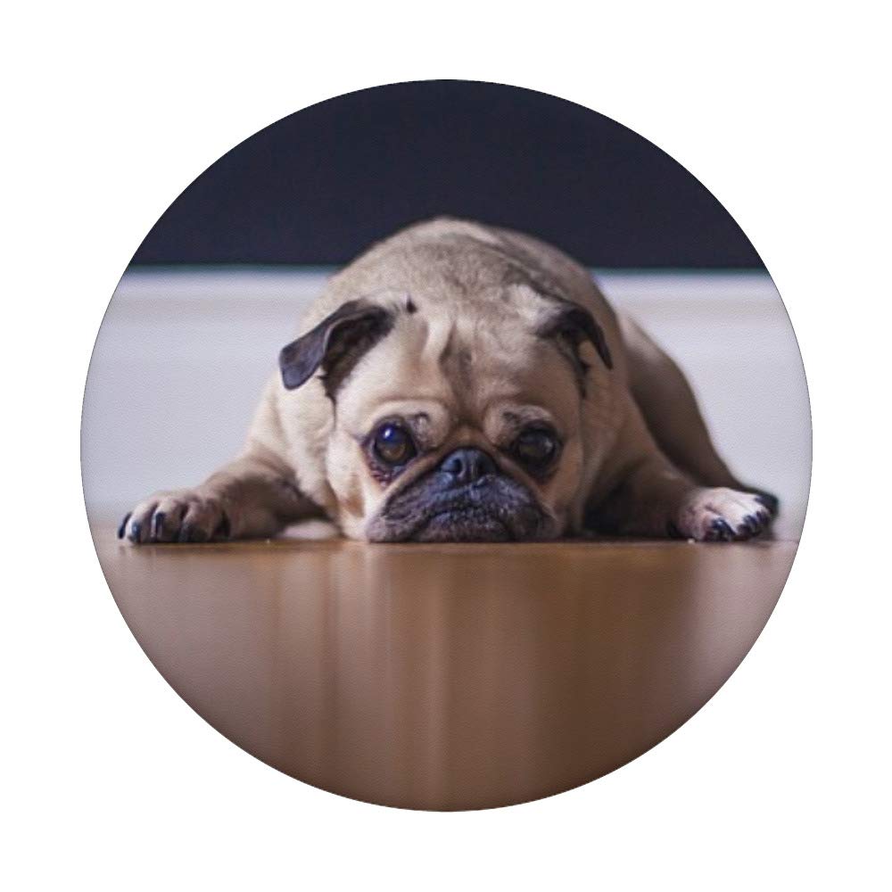 Pug Chillin Phone Stand & Holder - Cute Dog Gifts for Phone Lovers | Perfect for Desk, Office, Home Decor & Gifts