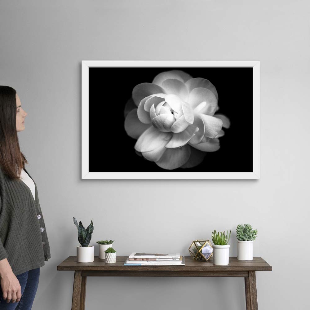 Black and White Ranunculus Flower Art Print - White Framed Floral Wall Decor for Living Room, Bedroom & Office