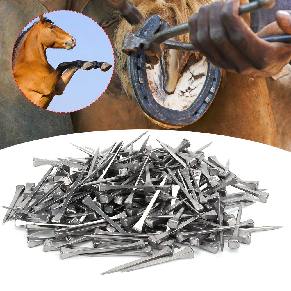 Mokernali 250 Pcs Stainless Steel Horseshoe Nails - 2 Inch Sharp Bevel E5 Horseshoe Nails for Horse Training, Equestrian Sports & Farrier Tools - Perfect for Horse Hoof Care, Blacksmithing & Stable Maintenance