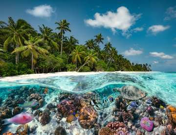 2000 Piece Maldives Underwater Scenery Jigsaw Puzzle - Perfect for Family Bonding, Stress Relief & Home Decor