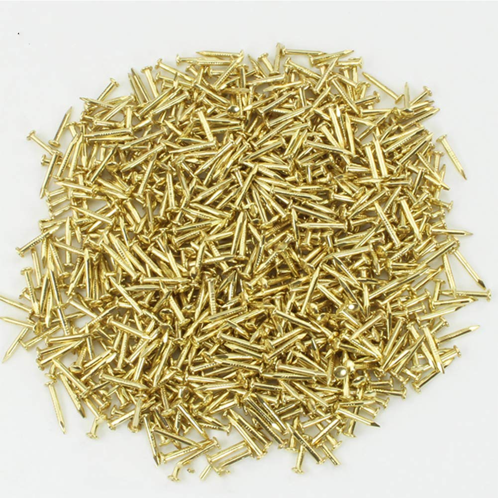 Decorative Round Head Brass Pins - 197-1819 Pcs for Wall Hanging, Wood Fixing & Picture Frames | Gold Craft Nails for DIY Projects, Art Display & Home Decor