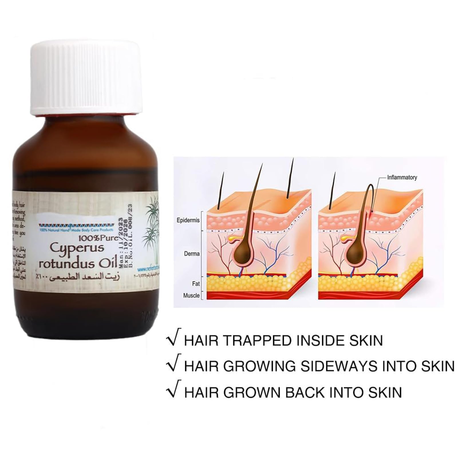 100% Pure Natural Cyperus Rotundus Oil for Hair Removal - Reduces Body Hair Growth Naturally - 60ml Bottle (Pack of 3) - Perfect for DIY Hair Removal & Skin Care at Home