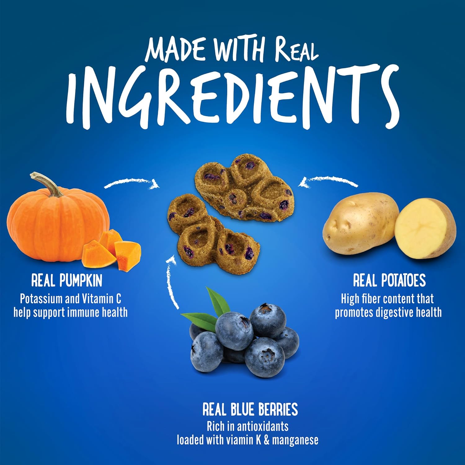 Fruitables Biggies Pumpkin & Blueberry Dog Treats - Healthy Natural Snacks for Large Breed Dogs - Perfect for Training, Rewards & Dental Health