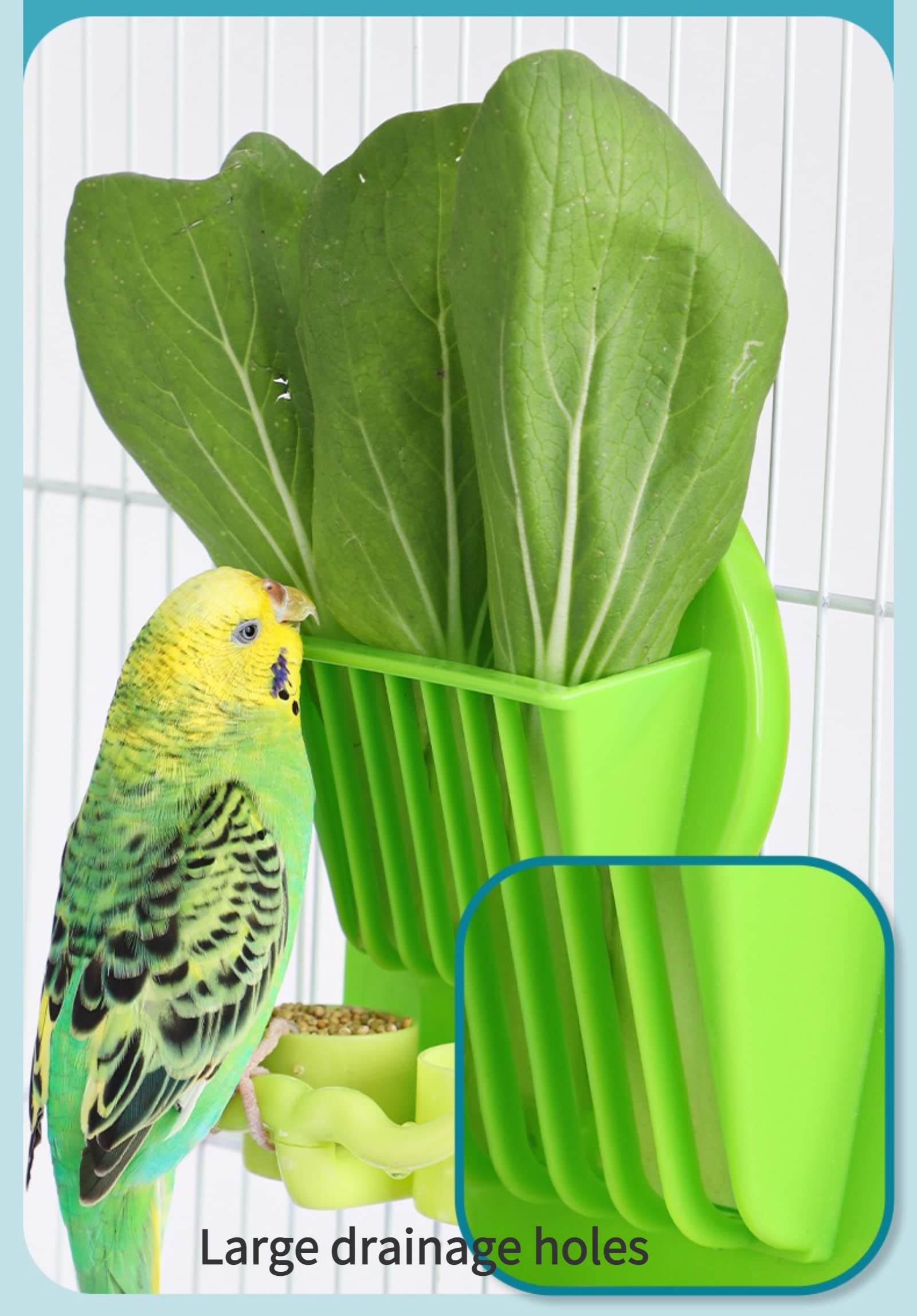 Premium Hanging Bird Feeder for Parrots - Durable Cage Fruit & Vegetable Holder - Pet Food Dispenser for Birds - Perfect for Cages, Aviaries & Bird Play Areas